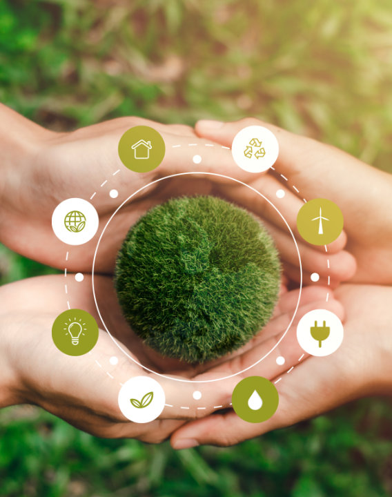 About Navyug Chemicals